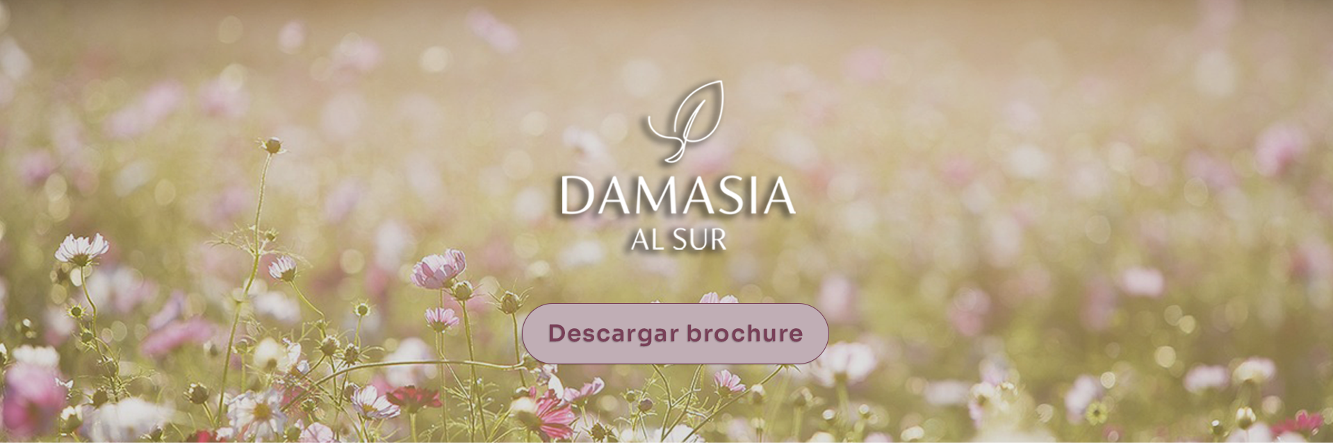 Mesa-de-trabajo-1-e1773771510652